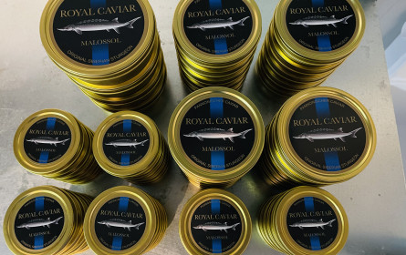 Es muss immer Kaviar sein