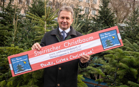 Christbäume: Steirer bevorzugen Bäume aus der Region