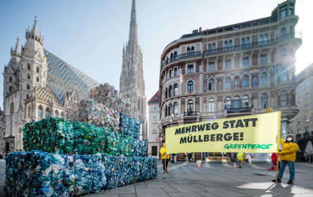 Plastikmüll kostet Steuerzahler 220 Mio. Euro
