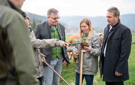 Steirische Grünlandbauern setzen neue Akzente gegen Klimawandel