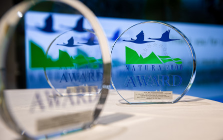 Billa-Stiftung "Blühendes Österreich" gewinnt Natura 2000 Award