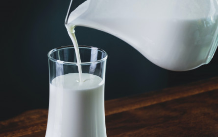 Exporte stützen heimischen Milchmarkt