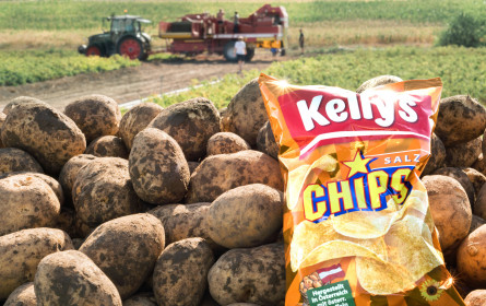 "Kelly's Chips Frische Ernte 2022" ist da