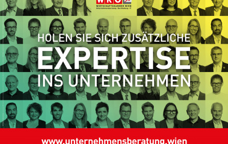 Wiener UnternehmensberaterInnen zeigen Gesicht