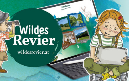 "Wildes Revier": NÖ Jagdverband bringt Wildtiere virtuell ins Klassen- und Wohnzimmer