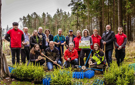 „Stöpselwald“ sorgt für 1.000 neue Bäume