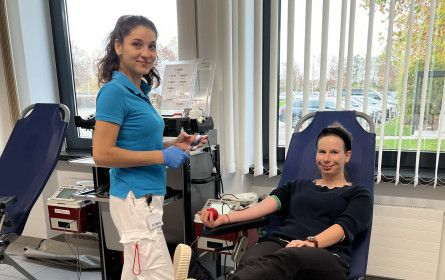 Hofer veranstaltet erneut Blutspendetag in Sattledt