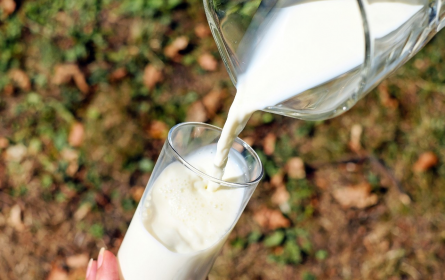 Milchwirtschaft fordert Stärkung und Absicherung des AMA Gütesiegels