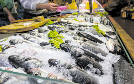 Süßwasserfische werden häufig importiert 