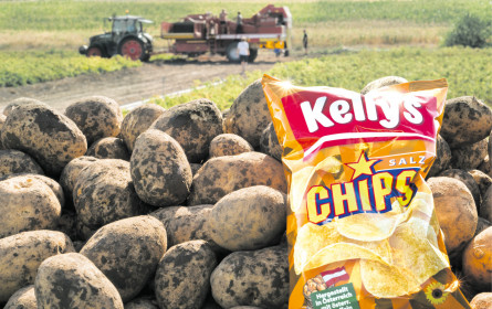 Die Kartoffel von Kelly’s schafft es jetzt ins TV