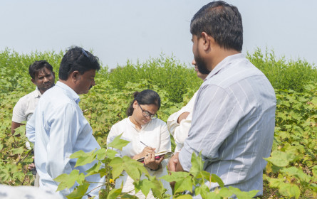 Hofer Baumwollprojekt unterstützt Kleinbauern in Indien
