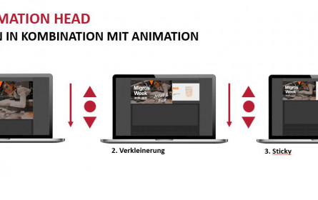 Goldbach Austria lanciert neue Bewegtbild-Onlinewerbeformate 