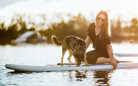 Fressnapf Reisen: Urlaub mit Hund leicht gemacht