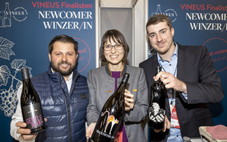 Vineus Wine Award 2023: Publikums-Voting in drei Kategorien gestartet