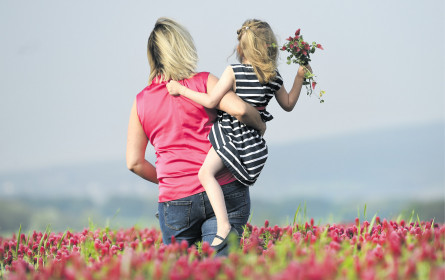 WK Wien: Wiener schenken am liebsten Rosen, Orchideen und Tulpen zum Muttertag