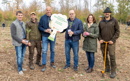 Waldquelle und Penny pflanzen 300 neue Bäume in Wiener Neustadt