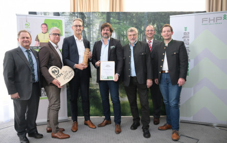 PEFC Awards 2023 Preisträger sorgen für Nachhaltigkeit bei Wald und Holz