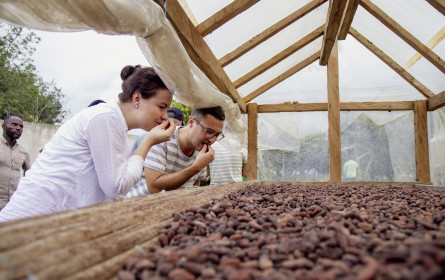 Jubiläum als Startschuss ins Fairtrade-Kakao-Jahr