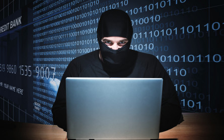 Cybercrime: Laufend neue Vorgehensweisen