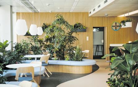 Green Office bei Bayer 
