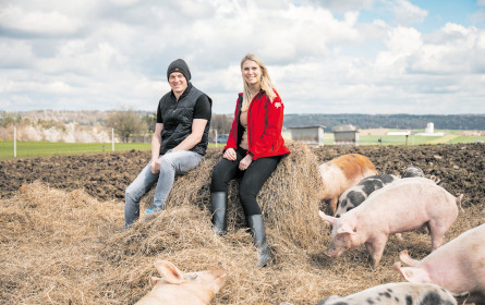 Schweinderlglück gibt’s im Freiland