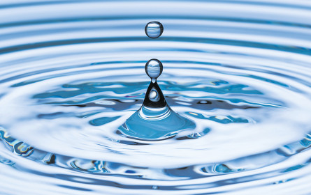 Wasser – jetzt kommen die Experten zu Wort