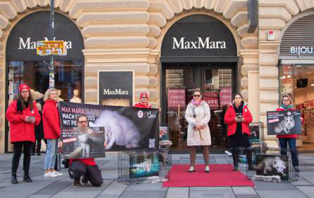 Pelz in der Kollektion: Weltweiter Email-Protest gegen Luxus-Modemarke Max Mara 