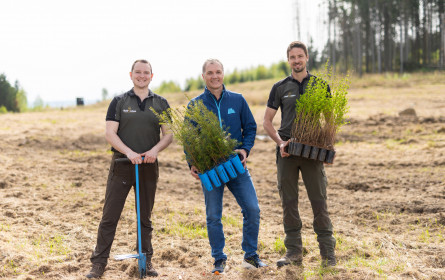Hofer Vorstand pflanzt Bäume für die Zukunft