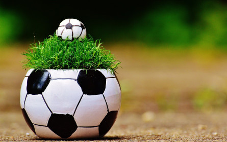 Fußball-EM 2024: Von Gemeinschaftsgefühl bis Greenwashing-Vorwurf