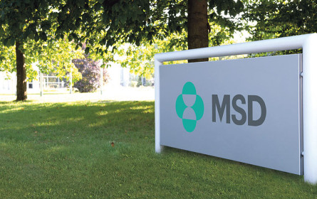 MSD fördert Start-ups