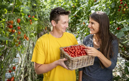 AMA Marketing: Die Österreicher lieben ihre Tomaten