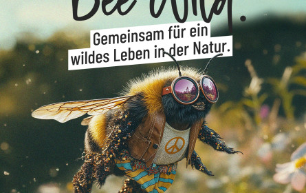 „Born to bee wild“: Kampagne für Artenschutz-Initiative