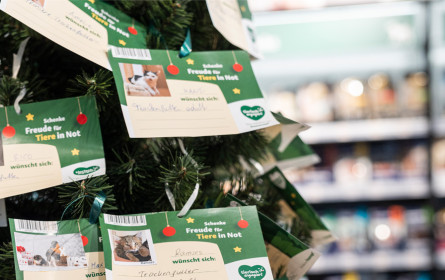 Tierisch engagierte Weihnachten: Fressnapf-Kunden helfen Tieren in Not