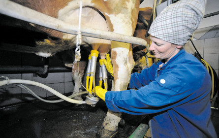 Bäuerinnen als Mutmacherinnen