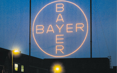 Bayer-Führung verkleinert