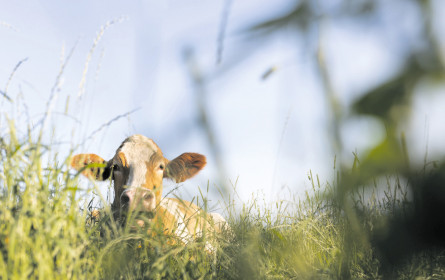 Bauern können Klimazertifikate vermarkten