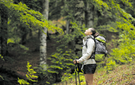 Nachhaltiges Reisen 