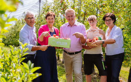 Apfelanbau: Zwischen Abwärtstrend und Zukunft
