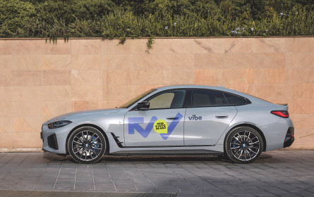 Das Vibe-Universum wächst immer weiter