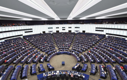 Aus für veganes „Schnitzel“?