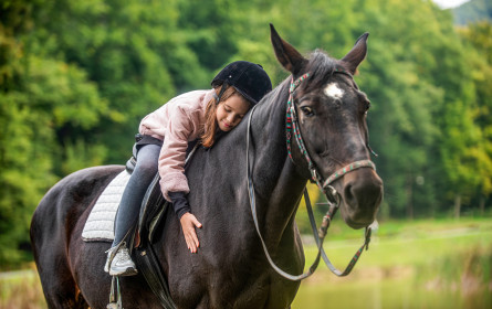 Lidl Österreich spendet 12.000 Euro an Verein „Wunderkind“