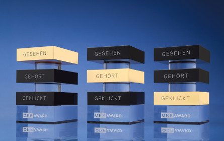 Teamgeist gewinnt bei ORF-Awards