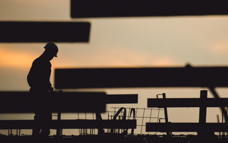 Pleitegeier kreist noch bis 2026 über Österreich