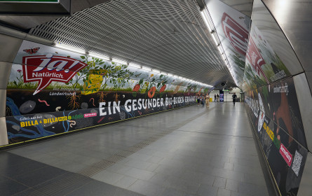 Ja! Natürlich startet Herbstkampagne