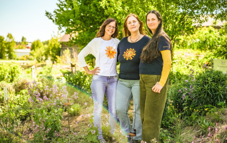 Kräuterwissen mit Wurzel und Zukunft