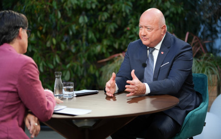 531.000 sahen Kanzler-Sommergespräch