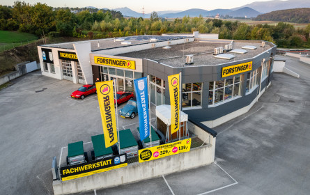 Forstinger nimmt wieder Fahrt auf