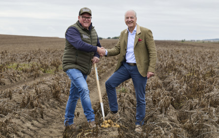 Bauernland setzt auf 100 % österreichische Erdäpfel