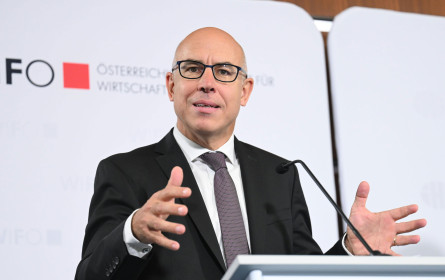 Wifo/IHS bestätigen Ende der Rezession - Inflation bleibt 2025 hoch