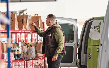 Gurkerl vor Durchbruch in die Gewinnzone